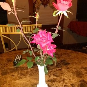 Meet your Posher, Pearl